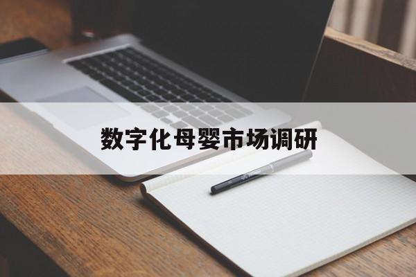 大同市数字化母婴市场调研(数字化母婴市场调研报告)