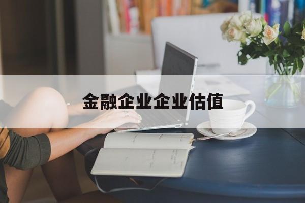 大同市金融企业企业估值(最新企业估值怎么填)